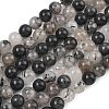 Natural Tourmalinated Quartz/Black Rutilated Quartz Beads Strands G-D361-01A-10mm-2
