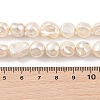 Electroplated Shell Pearl Beads Strands BSHE-C006-01C-4