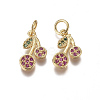 Brass Micro Pave Cubic Zirconia Charms ZIRC-I038-13G-1
