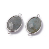 Platinum Tone Brass Natural Labradorite Links connectors G-F339-B12-2