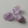 Raw Natural Amethyst Home Display Decorations DJEW-WH0042-27-1