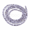 Natural Freshwater Shell Beads Strands BSHE-T009-01-3