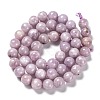 Natural Lepidolite Beads Strands G-H247-11D-3