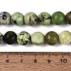 Natural Serpentine Beads Strands G-Q616-07D-5