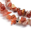 Natural Carnelian Beads Strands X-G-P332-04-2