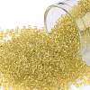 TOHO Round Seed Beads SEED-JPTR11-2151-1
