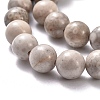 Natural Maifanite/Maifan Stone Beads Strands G-I187-8mm-01-9