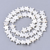 Freshwater Shell Beads Strands X-SHEL-T014-009G-2