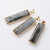 Faceted Rectangle Natural Labradorite Pendants X-G-M294-08-1