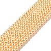 Eco-Friendly Dyed Glass Pearl Round Beads Strands HY-A002-4mm-RB072-1