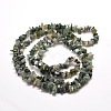 Natural Moss Agate Chip Bead Strands X-G-M205-45-2