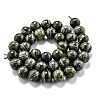 Natural Green Zebra Jasper Beads Strands G-L574-05C-2