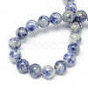 Natural Blue Spot Jasper Bead Strands X-G-R193-15-6mm-4