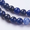 Natural Sodalite Beads Strands X-G-G448-6mm-25-3