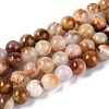 Natural Wood Lace Stone Wooden Jasper Beads Strands G-B128-A04-01-2
