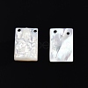 Natural White Shell Charms SSHEL-N003-140-1