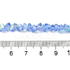 Transparent Glass Beads Strands EGLA-P061-04B-AB01-4