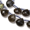 Natural Labradorite Beads Strands G-C292-A09-01-2