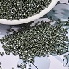 MIYUKI Delica Beads X-SEED-J020-DB1566-1
