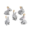 Alloy Enamel Pendants AL-CBAC5EF-03G-02-1