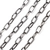 Iron Paperclip Chains CH-R025-13x6mm-B-1