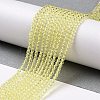 Transparent Glass Beads Strands GLAA-H021-03-04-3