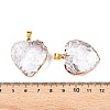 Light Gold Brass Glass Pendants GLAA-N001-24-4