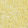 Glass Seed Beads X-SEED-S042-11A-05-3
