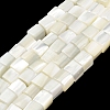 Natural Trochid Shell/Trochus Shell Beads Strands SHEL-C010-05A-1
