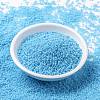 MIYUKI Round Rocailles Beads X-SEED-G009-RR0413-2