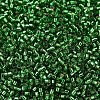 MIYUKI Delica Beads SEED-X0054-DB0046-3