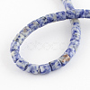 Natural Blue Spot Jasper Bead Strands G-R187-06-2