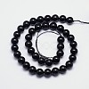 Natural Black Tourmaline Round Bead Strands G-I160-01-8mm-2