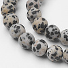 Natural Dalmatian Jasper Bead Strands G-G735-68F-8mm-3