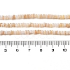 Natural Freshwater Shell Beads Strands SHEL-P017-01B-10-4