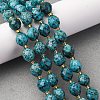 Natural Sesame Jasper Dyed Beads Strands G-D305-B02-01-1