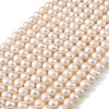 Natural Cultured Freshwater Pearl Beads Strands PEAR-L034-17D-2