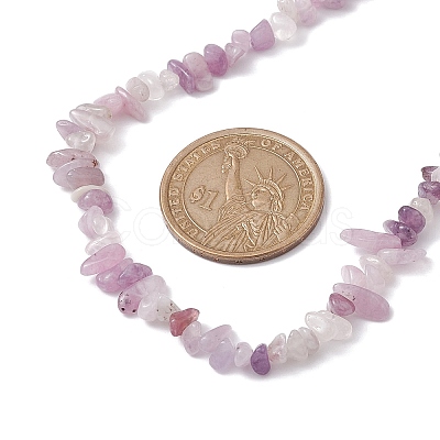 Natural Lepidolite/Purple Mica Stone Chip Beaded Necklace NJEW-JN04616-04-1
