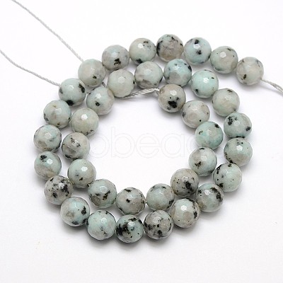 Natural Sesame Jasper/Kiwi Jasper Beads Strands X-G-L147-8mm-01-1