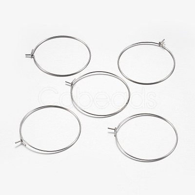 316 Surgical Stainless Steel Hoop Earrings Findings STAS-I097-050A-1