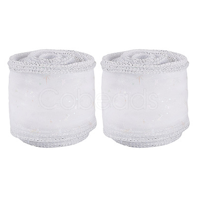 Polyester Deco Mesh Ribbons OCOR-TAC0024-004E-1