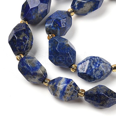 Natural Lapis Lazuli Beads Strands G-P541-A01-05-1