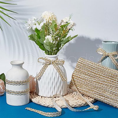 11M Polyester Curtain Lace Trimmer Ribbon OCOR-WH0082-33B-1