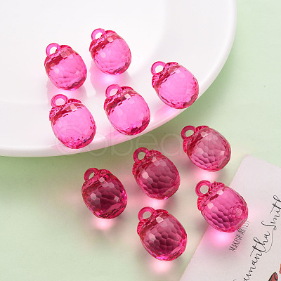 Autumn Theme Transparent Acrylic Pendants TACR-T024-04B-906-1