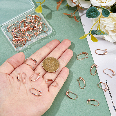40Pcs Brass Earring Hooks KK-FH0007-64G-1