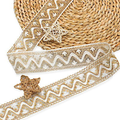 10 Yards Polyester Embroidery Lace Ribbon with Paillette PW-WG94215-03-1