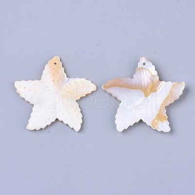 Freshwater Shell Pendants SSHEL-Q297-25-1