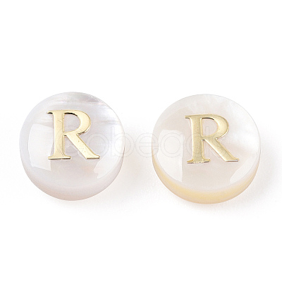 Natural Freshwater Shell Beads SHEL-N036-01R-1