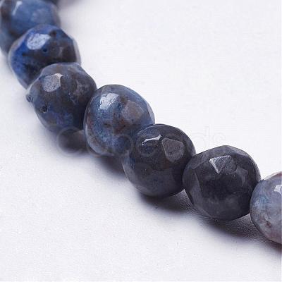 Natural Silver Leaf Jasper Beads Strands G-K181-6mm-O02-1