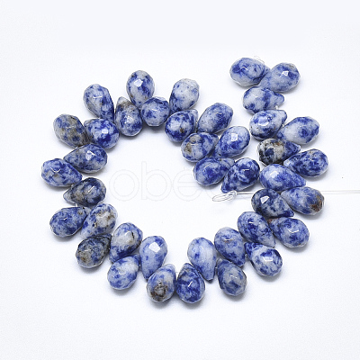 Natural Blue Spot Jasper Beads Strands G-S357-C02-06-1